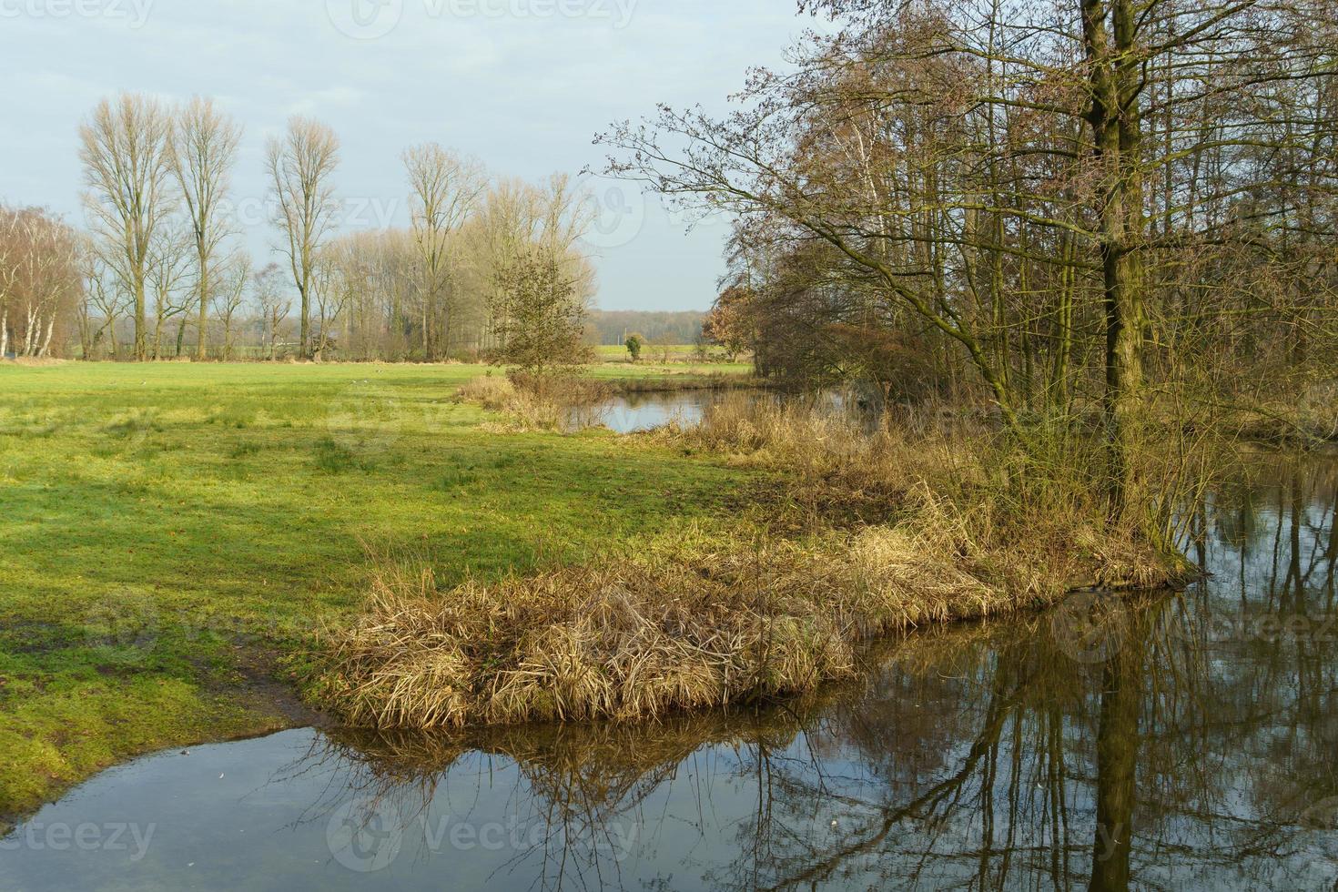 das schloss gemen in westfalen foto