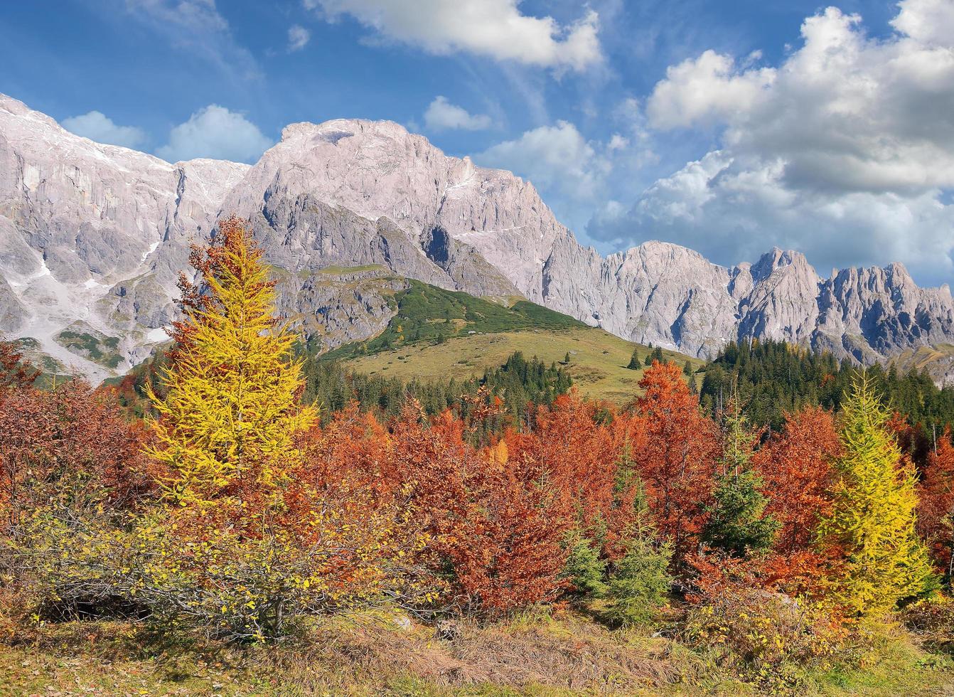 herbstlich alpin Landschaft im salzburger Land, Österreich foto