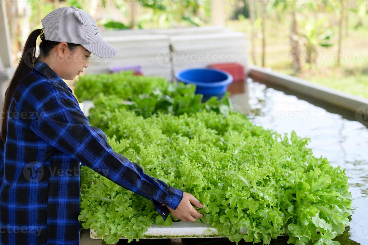 Farmer Frau Pflege Hydrokultur Gemüse Parzelle, organisch Gemüse foto