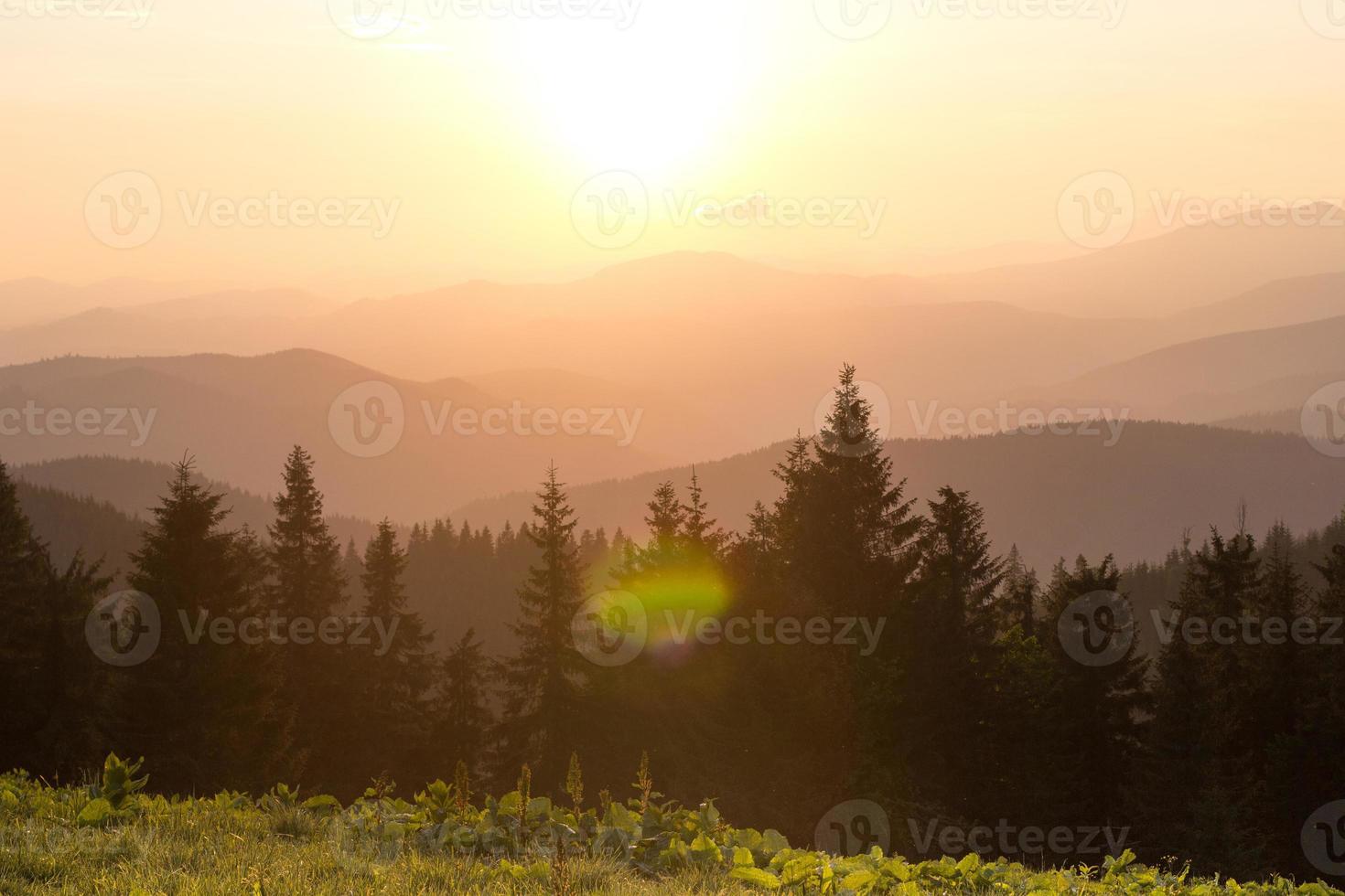 nebelig Berge und Tanne Silhouetten mit Sonne funkelt Landschaft Foto