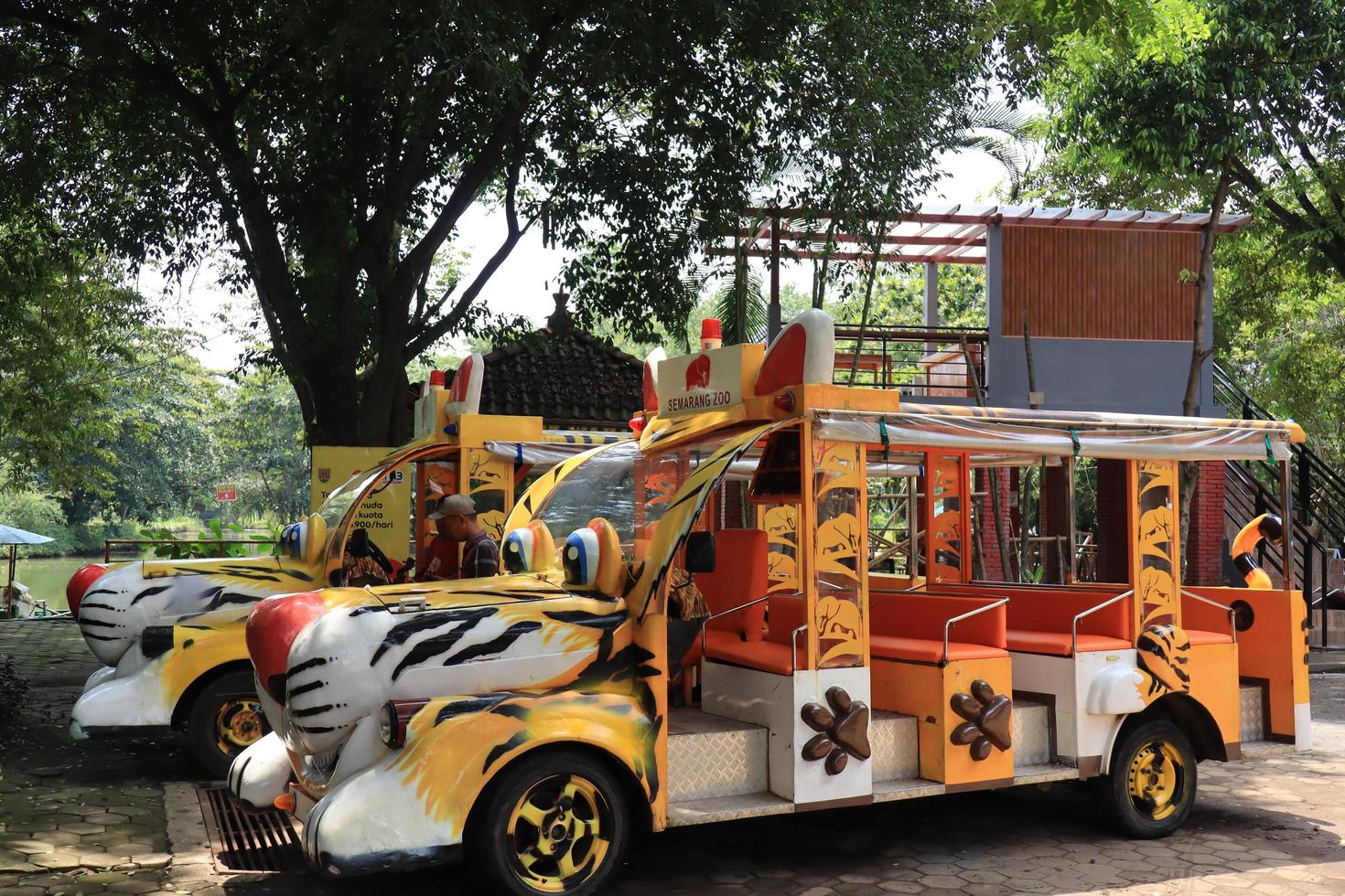 Semarang, Dezember 2022.Zoo Transport Bus zu gehen um mit Touristen foto