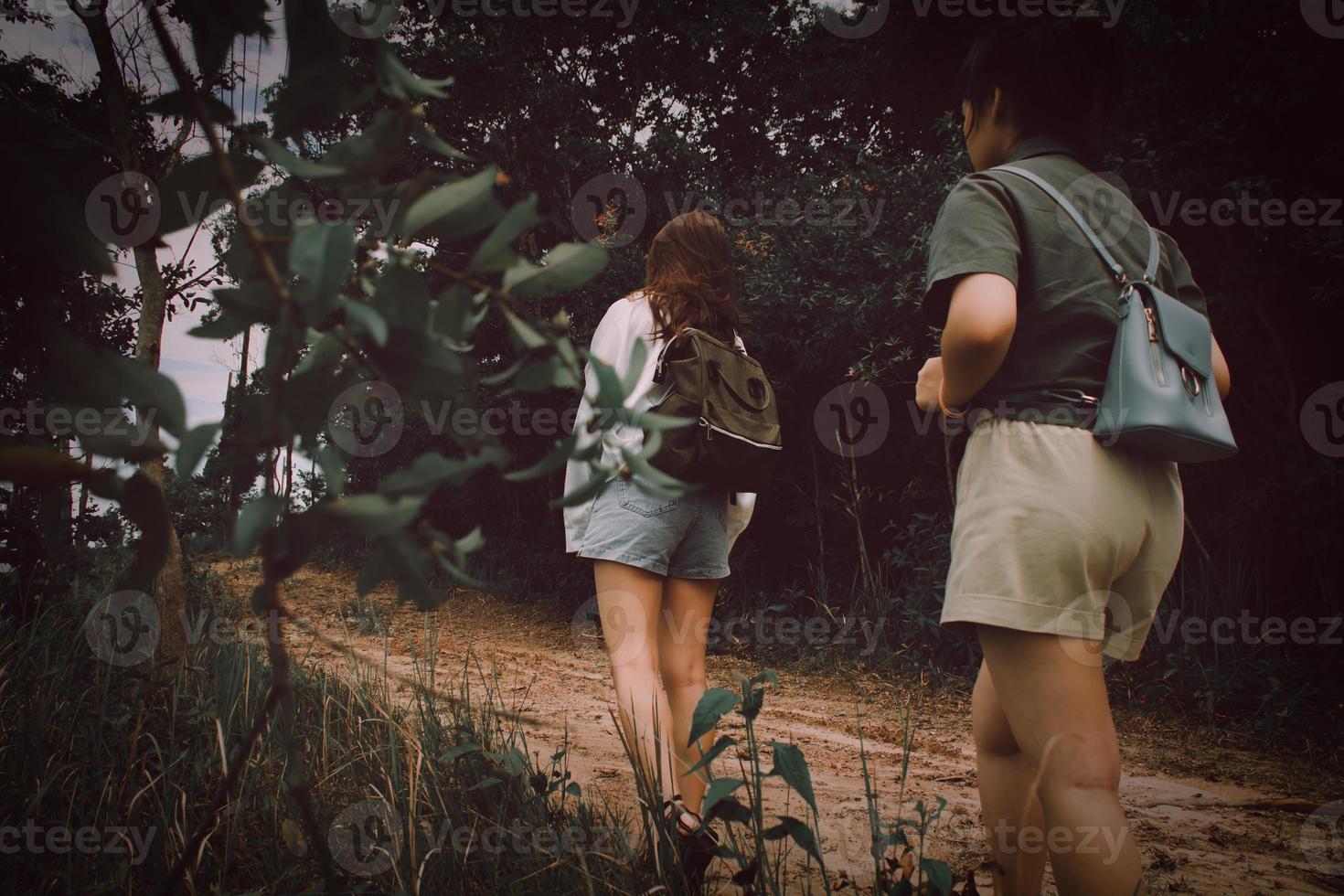 zwei jung asiatisch Damen Wanderer mit Rucksack Gehen oben das Berg. zwei Mädchen Gehen im Natur. Gehen während suchen das Landschaft im das Wald. Über natürlich Hintergrund. zurück Sicht. foto