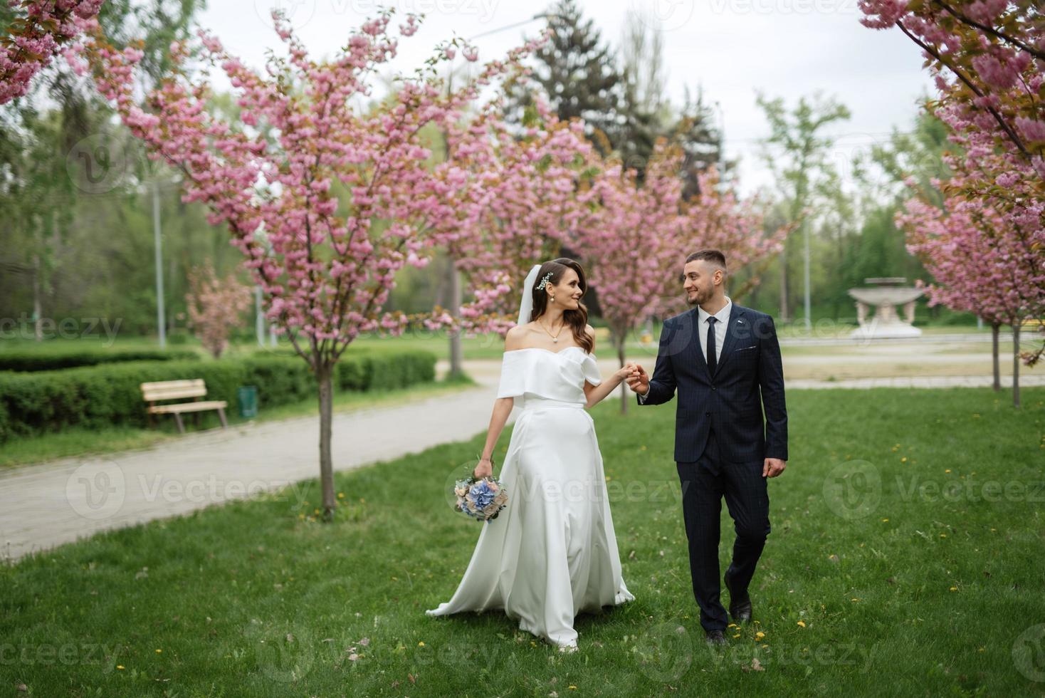 Jungvermählten gehen im das Park unter Kirsche Blüten foto