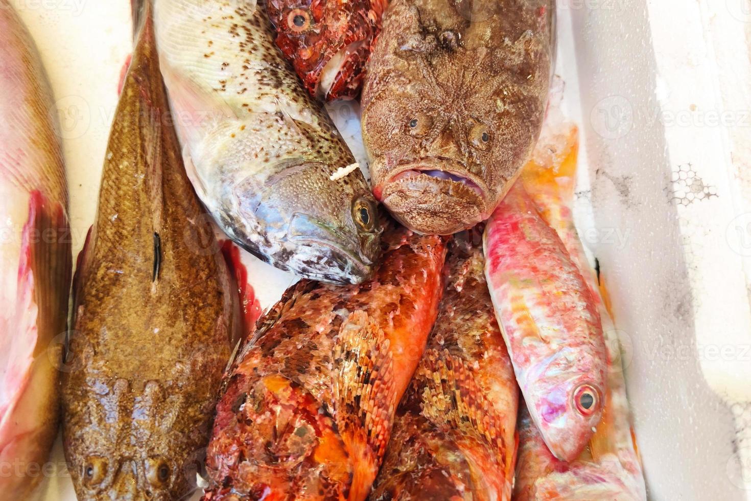 roh Fisch zum Suppe beim das Markt Meeresfrüchte foto