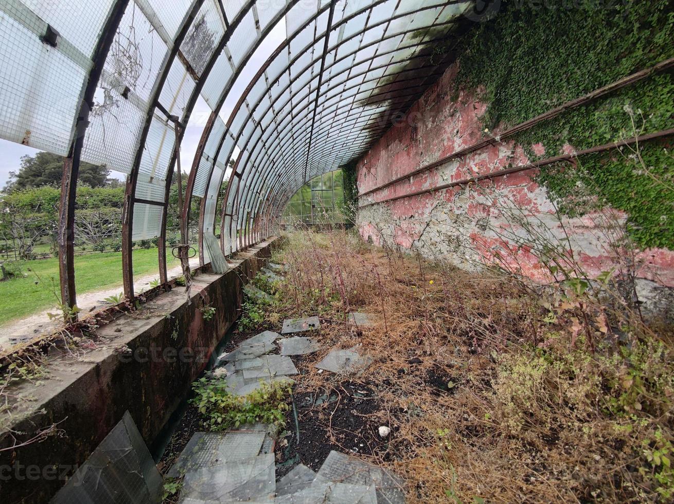 altes verlassenes gewächshaus zerbrochene fenster foto