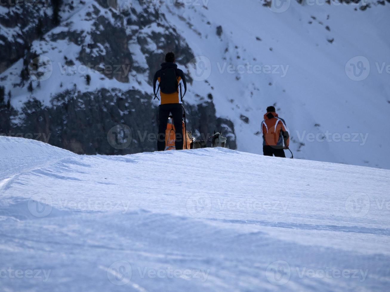 schlittenhund in schneebedeckten bergen foto