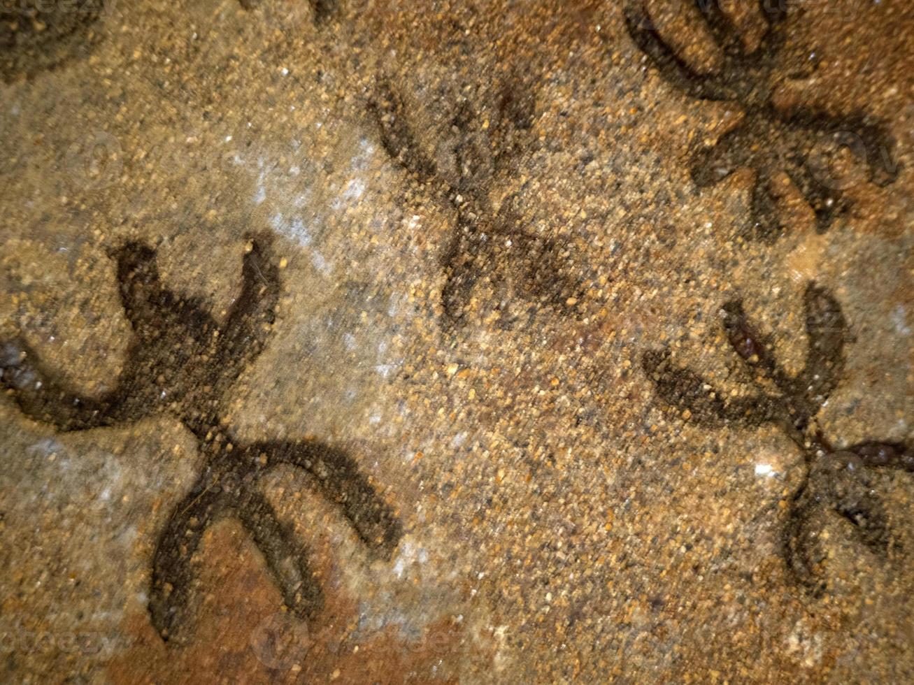 nuragisch Stein Alter alt Petroglyphen Runen Schriften Innerhalb Meer Ochsen Grotten Sardinien foto