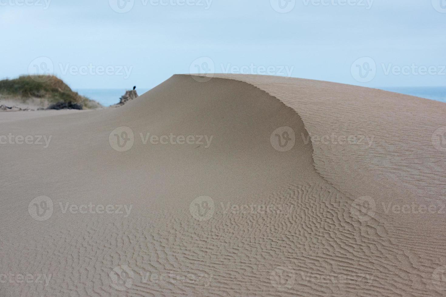 Sanddünen in der Nähe des Meeresstrandes foto