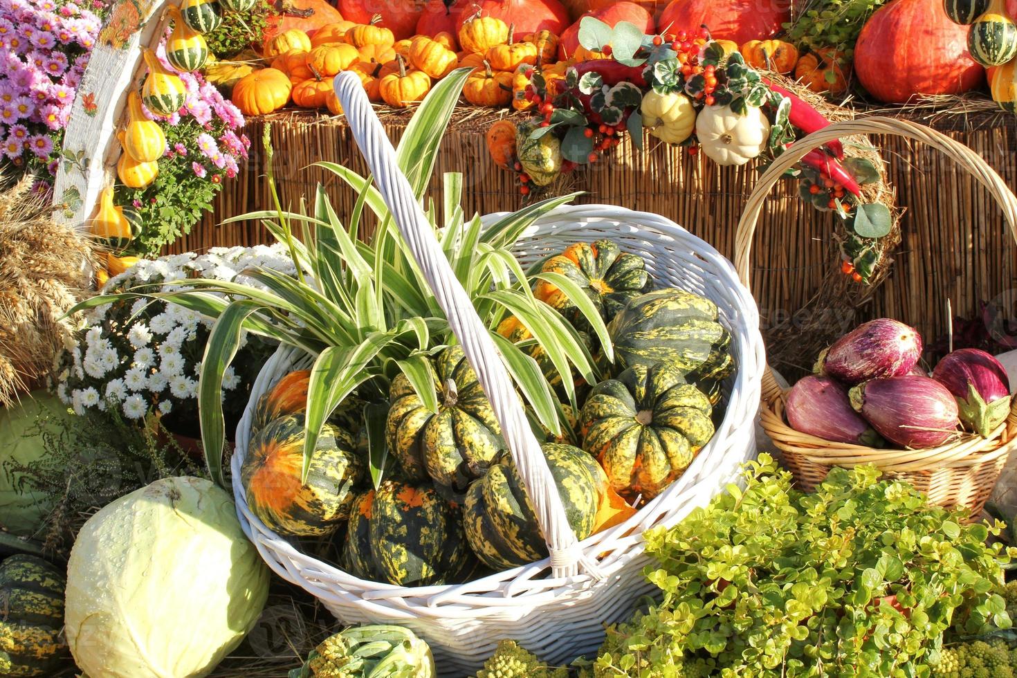 bunt organisch Kürbisse und Gemüse im Korb auf landwirtschaftlich gerecht. Ernte Herbst Zeit Konzept. Garten fallen natürlich Pflanze. das Erntedankfest Dekoration. festlich Bauernhof ländlich Hintergrund. vegan Lebensmittel. foto