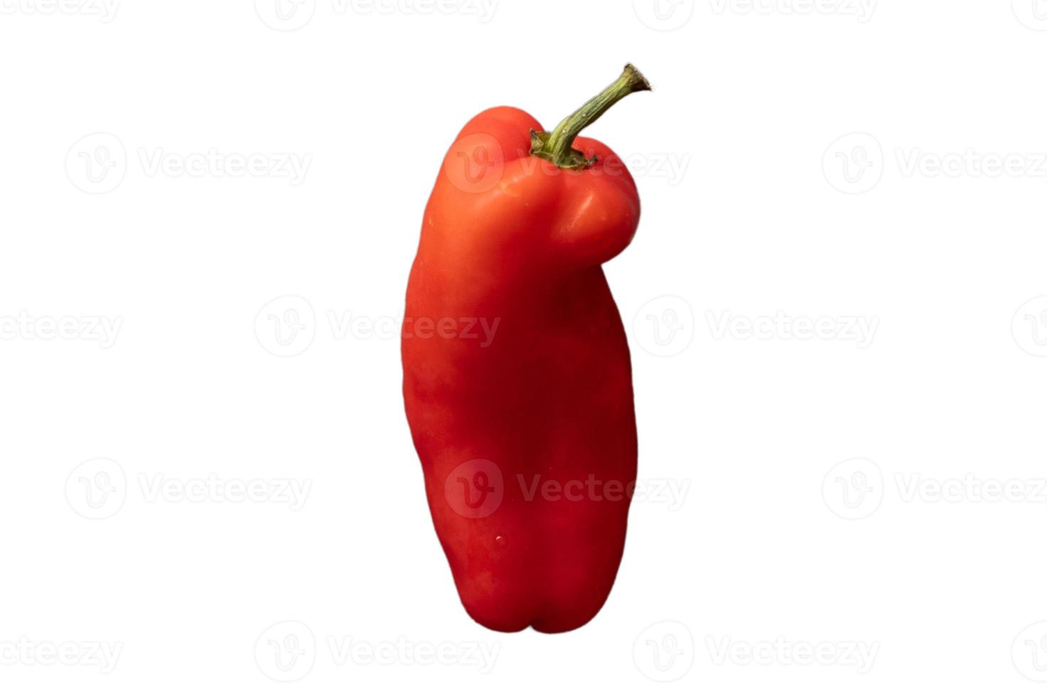 3576 rot Paprika isoliert auf ein transparent Hintergrund foto