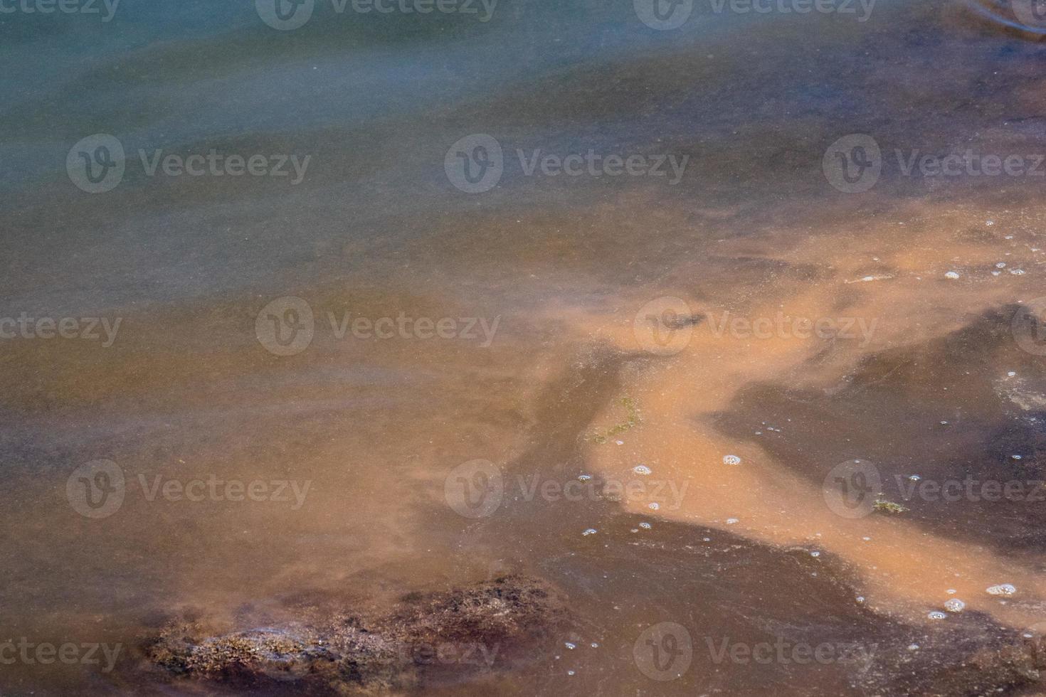 Wal Fett Fett Detail auf Wasser foto