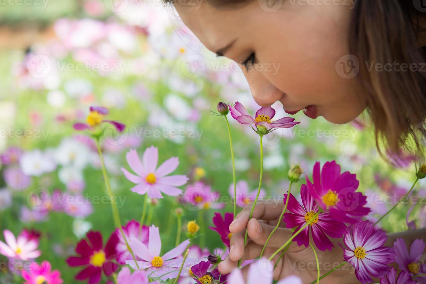 Nahaufnahme der fröhlichen Frau, die Kosmosblumen in einem Garten riecht foto