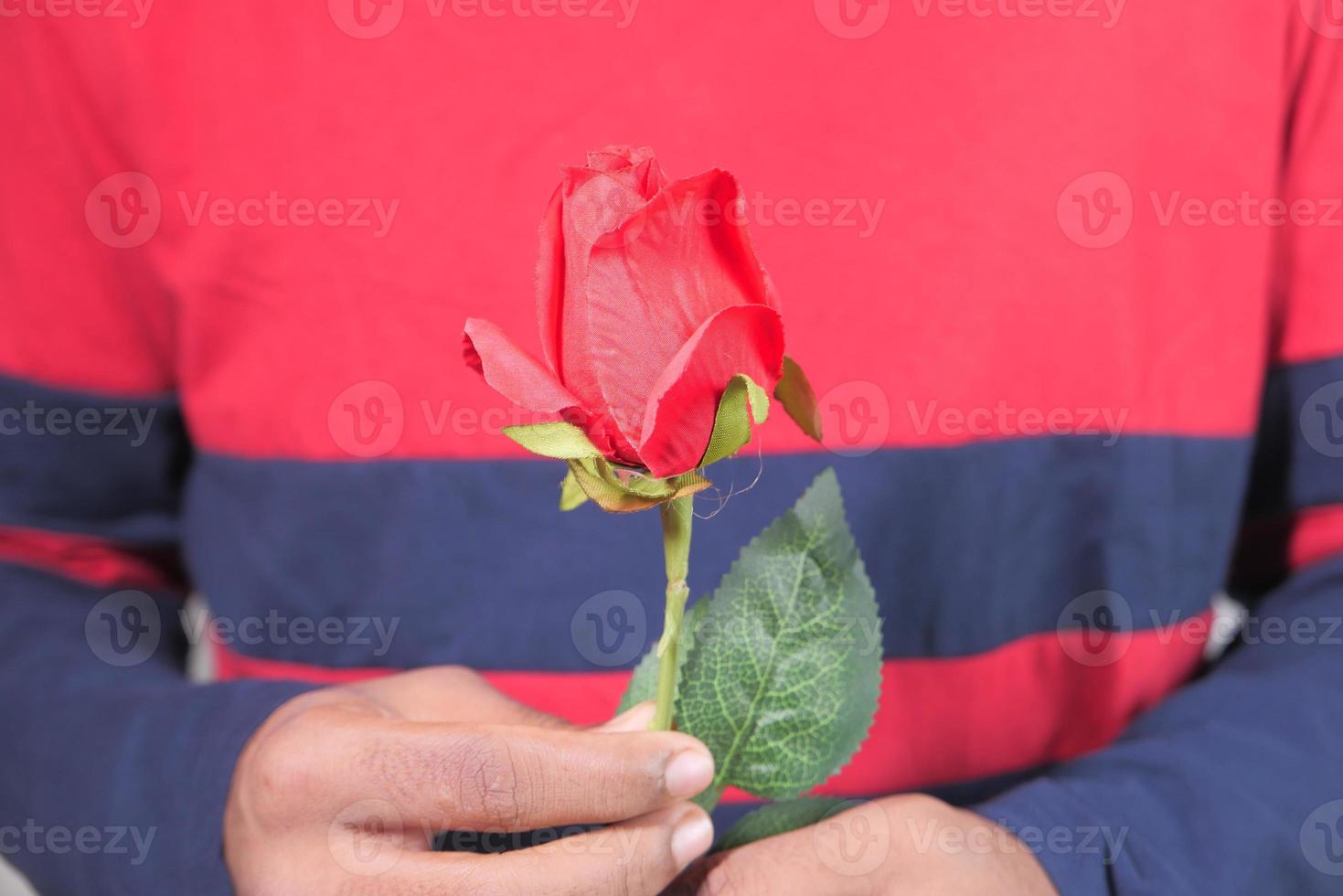 Hand des nicht erkannten Mannes, der Rosenblume hält foto