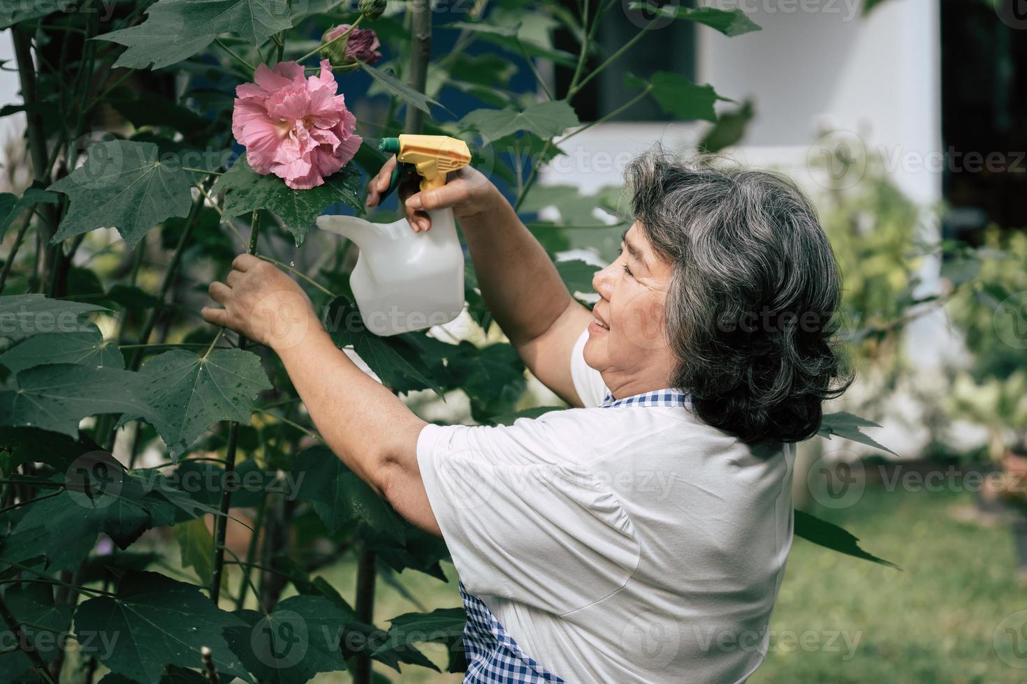 ältere Frau, die Blumen im Garten sammelt foto
