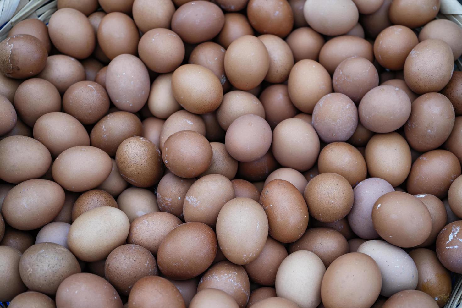 Bio-Eier zum Verkauf auf dem Markt foto