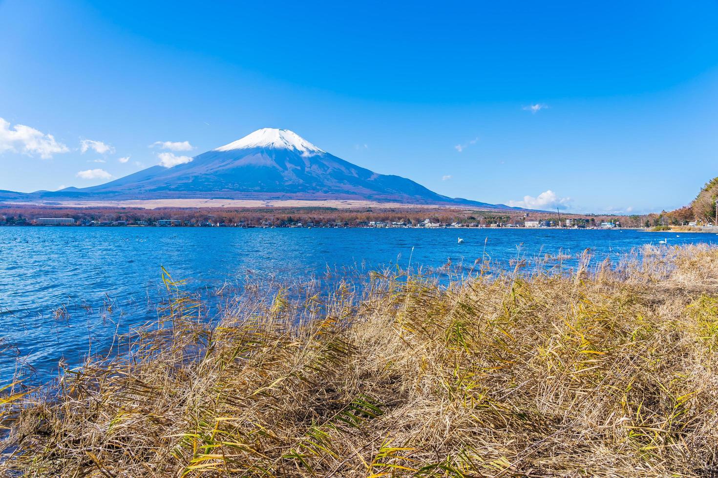 See Yamanakako bei mt. Fuji in Japan foto