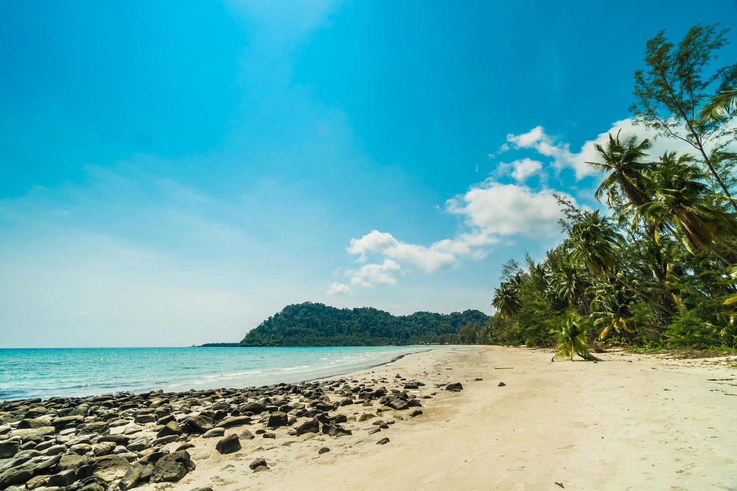 tropischer Strand und Meer mit Kokospalmen foto