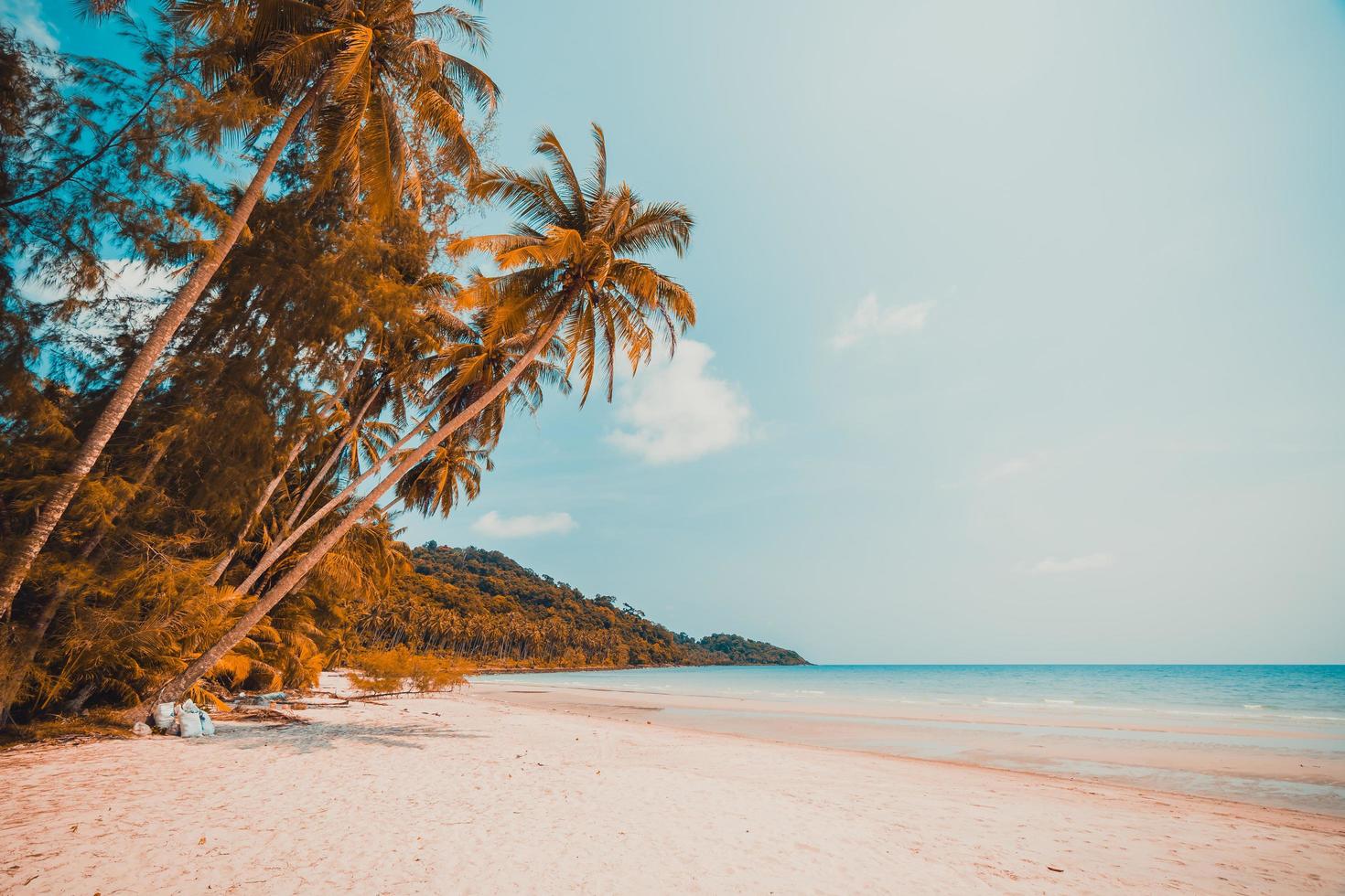 tropischer Strand auf einer paradiesischen Insel foto