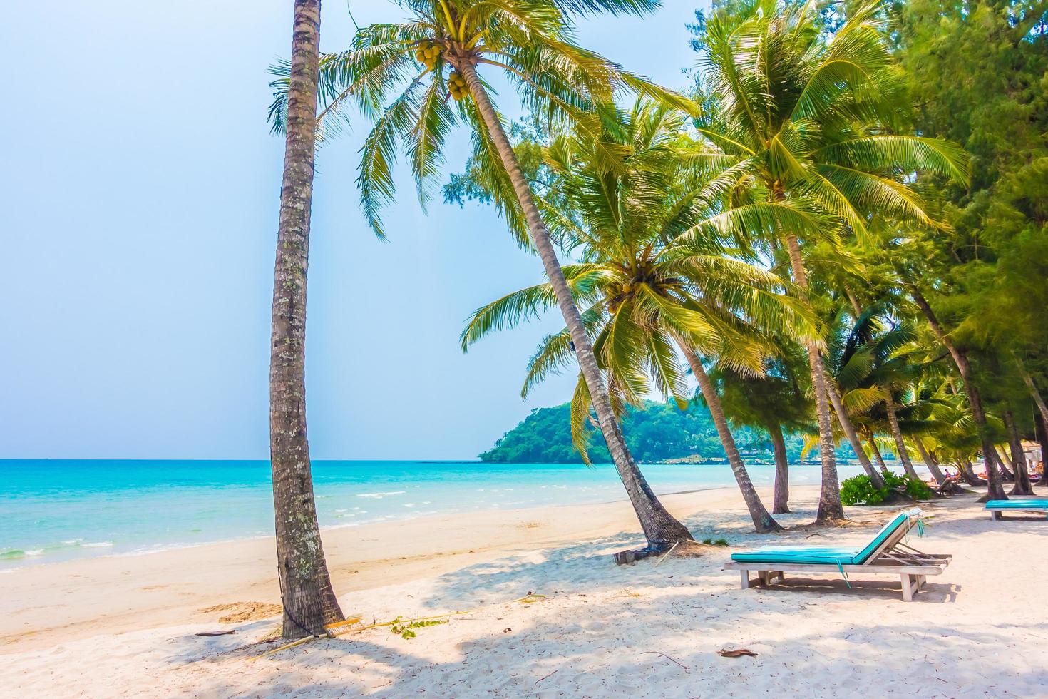 tropischer Strand mit Palmen foto