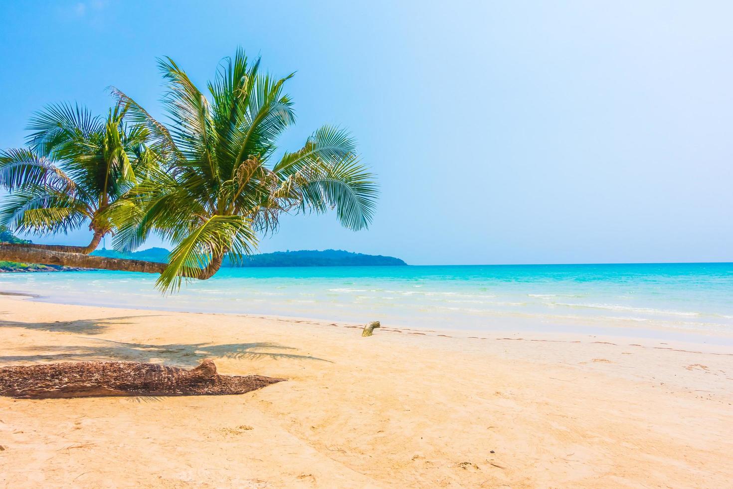 tropischer Strand mit Palmen foto