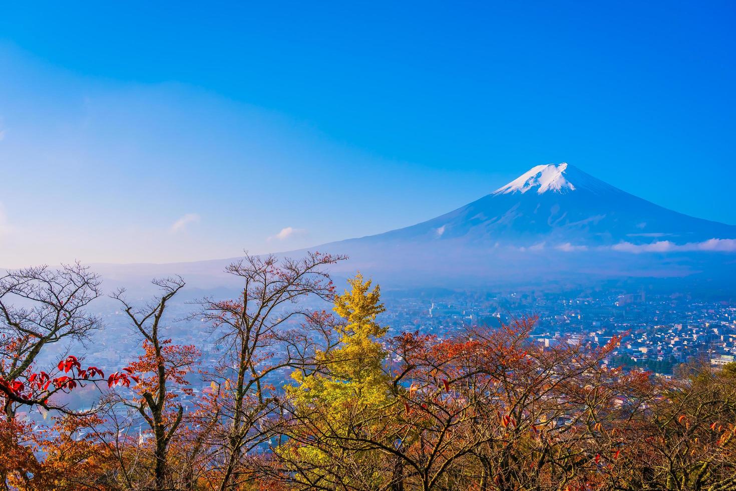 mt. Fuji in Japan im Herbst foto