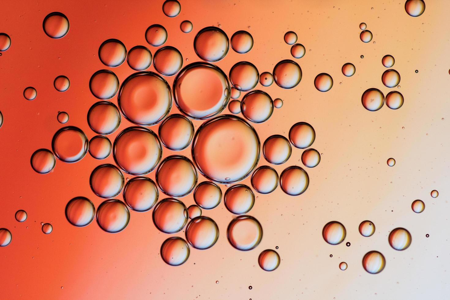 Nahaufnahme von Wassertropfen auf orange Oberfläche foto
