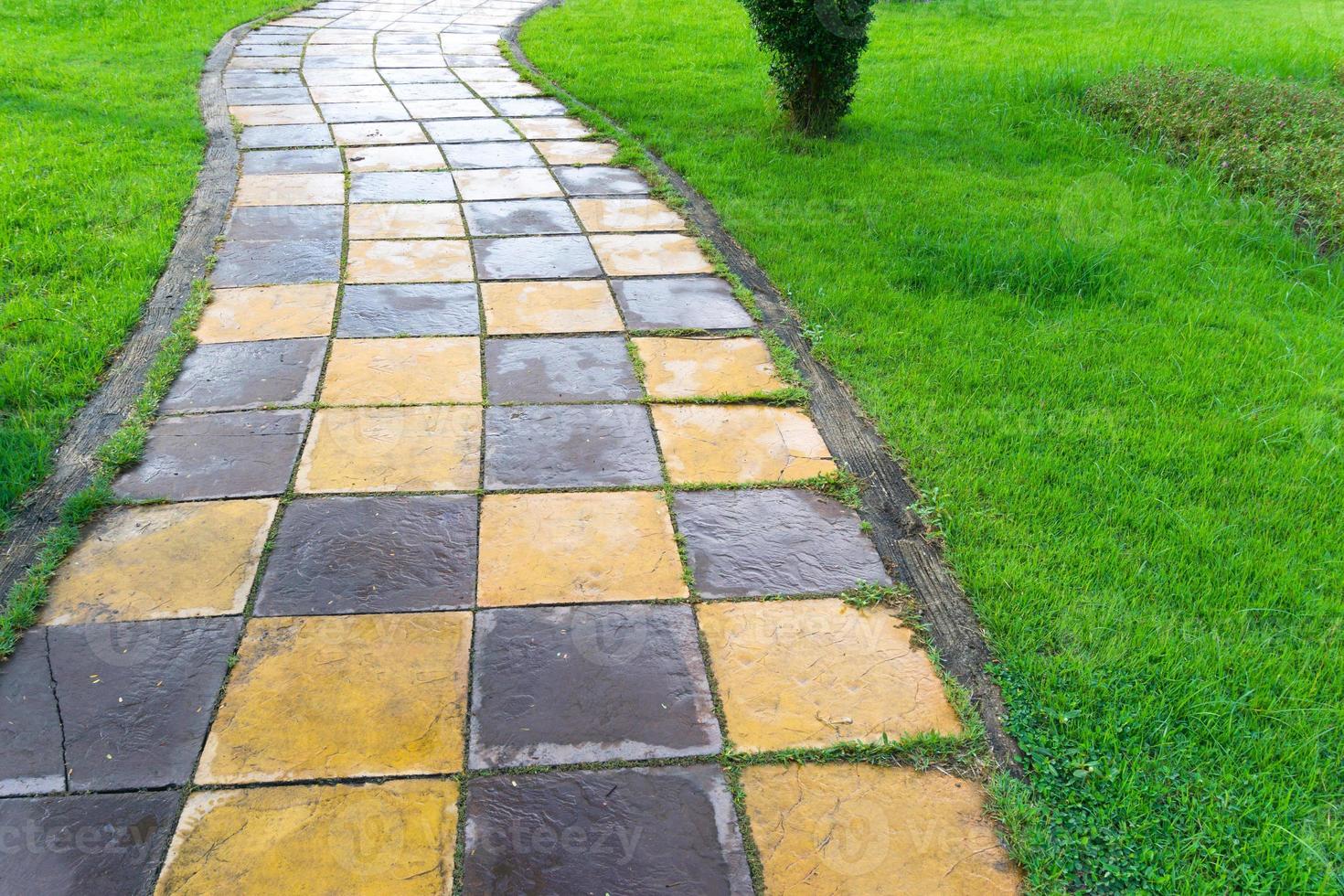 Stein Gelb und braun Gehweg auf das Gras beim Garten, a Weg, Gehweg von das Park foto