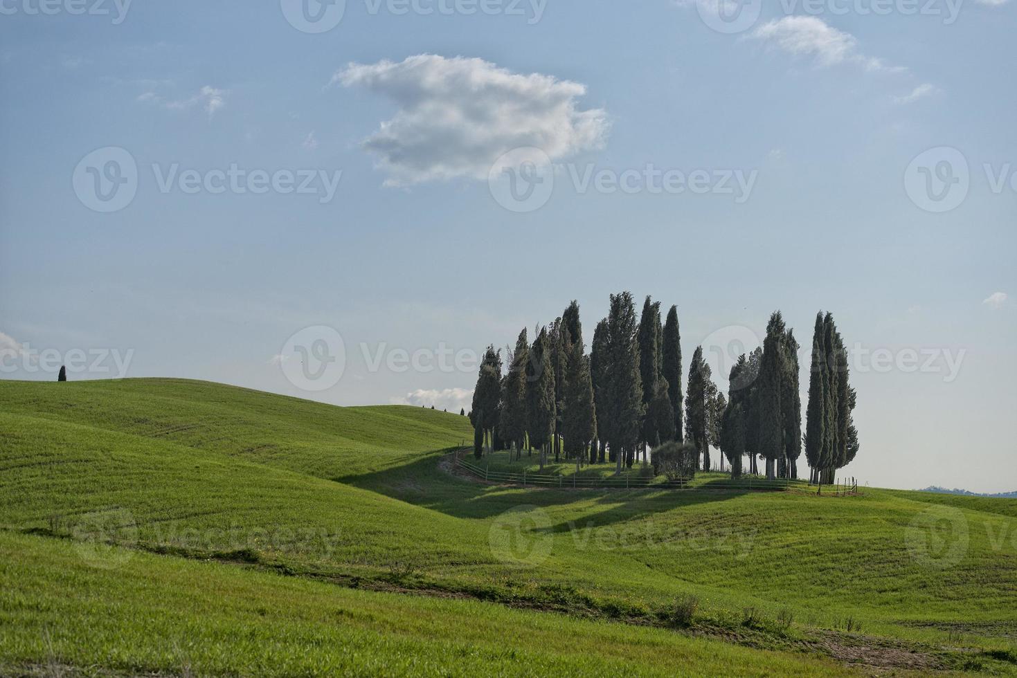 Hügellandschaft der Toskana foto