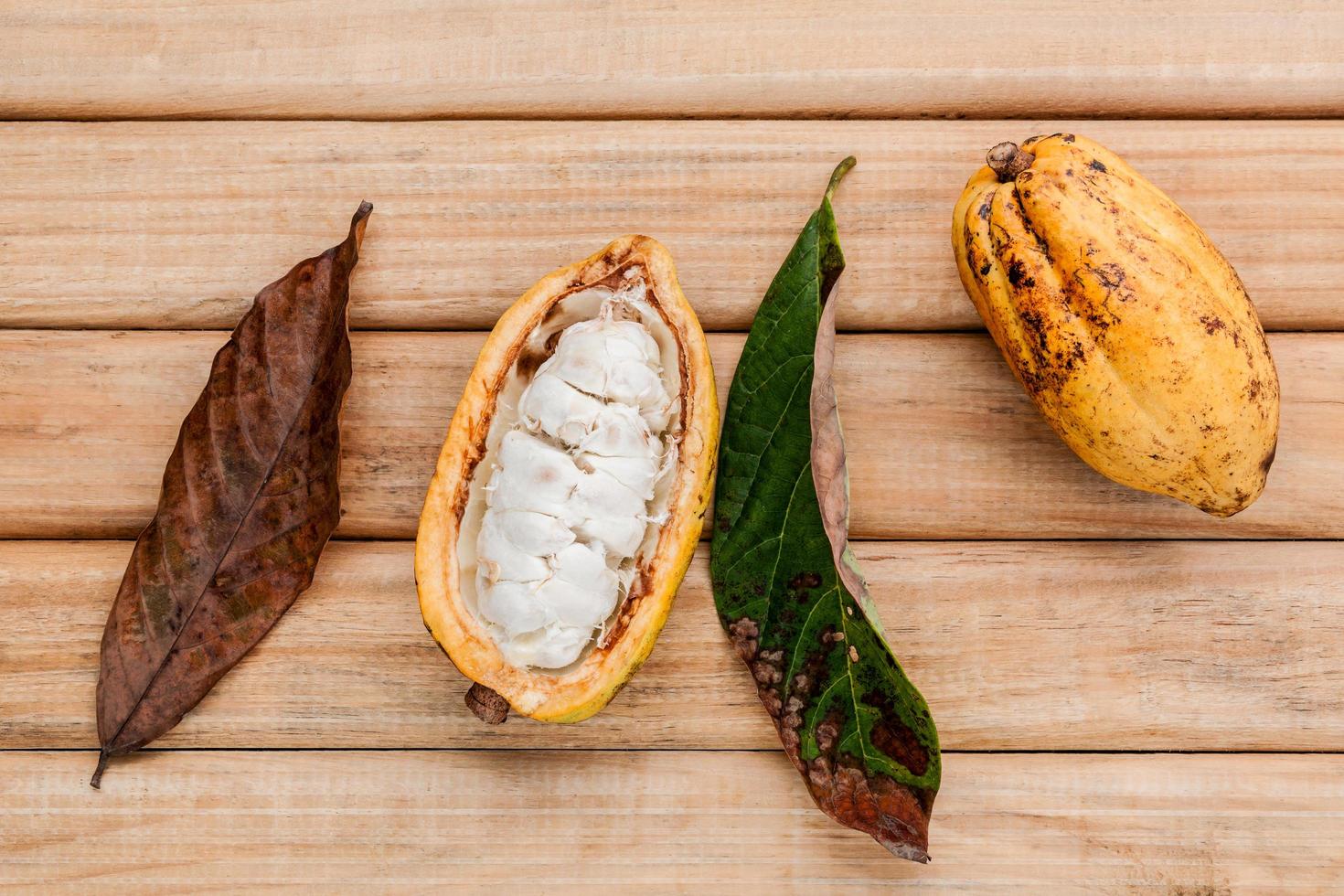 Kakaofrüchte auf Holztisch foto