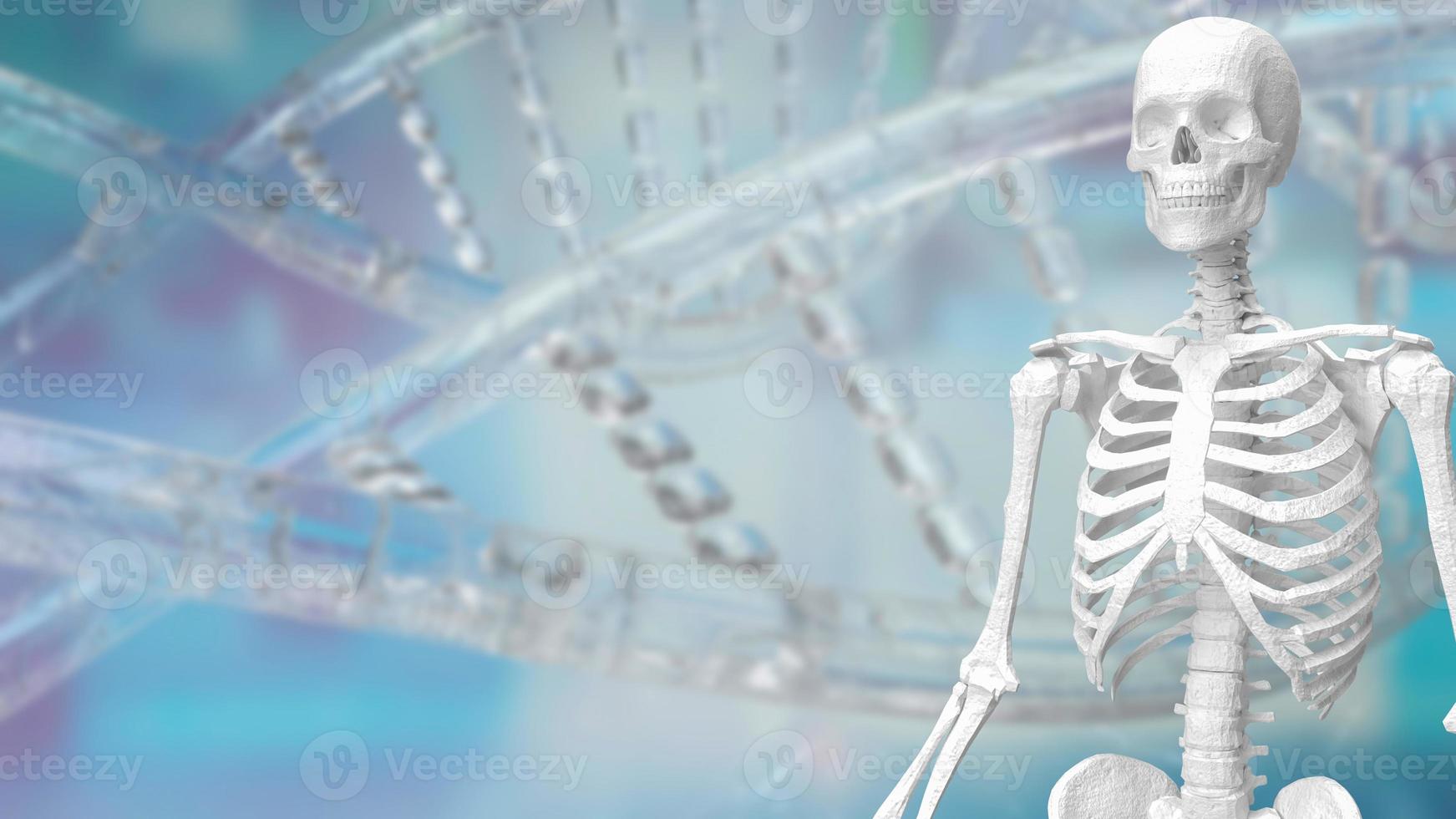 das Skelett auf DNA Hintergrund zum medizinisch oder sci Konzept 3d Rendern foto