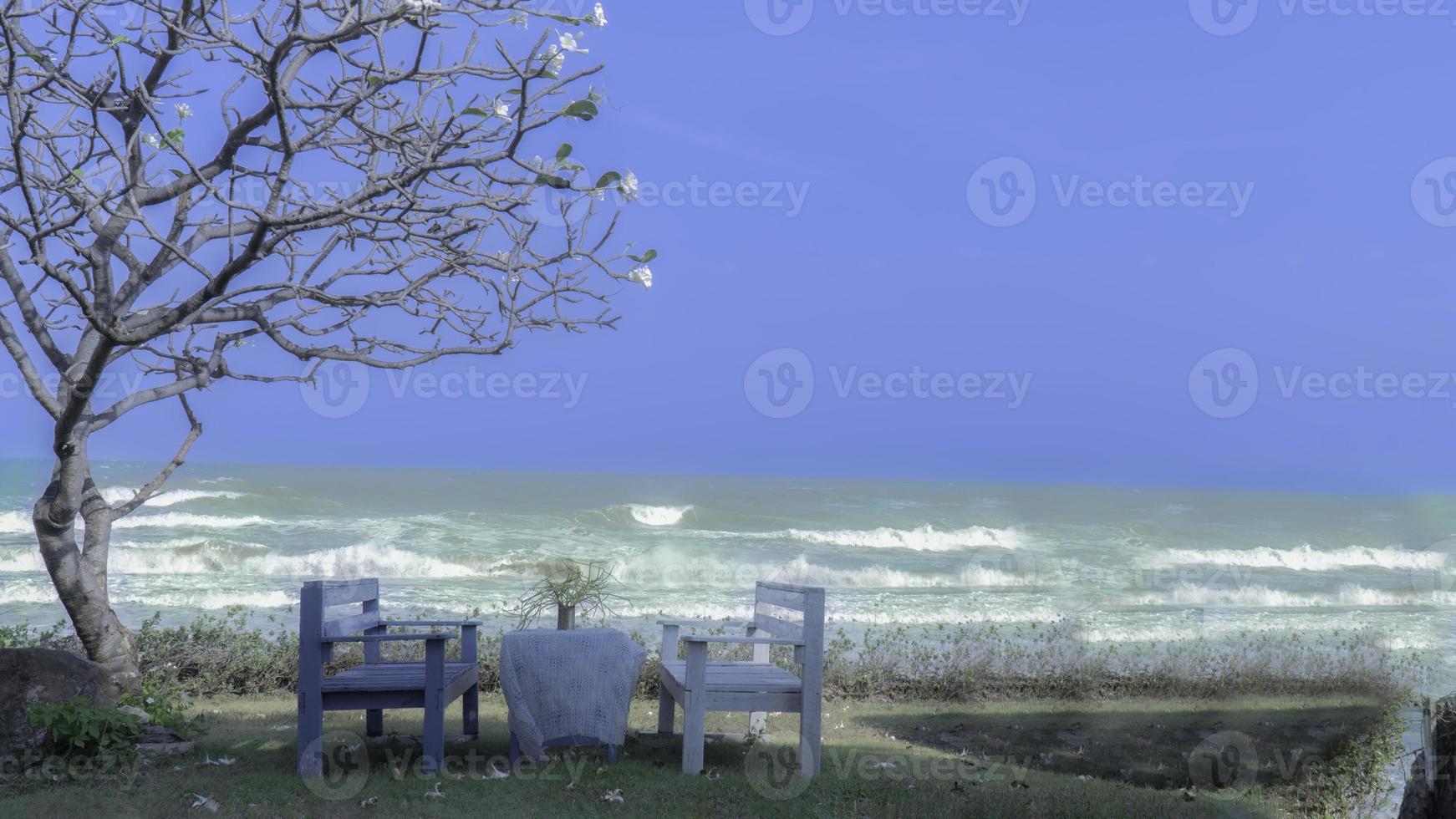 Sitze durch das Meer, schöne. mit groß Bäume. foto