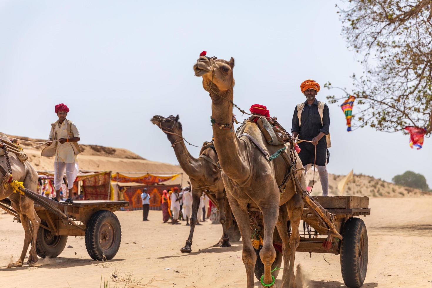 Rajasthan, Indien 2018 - Männer reiten Kutschen auf Kamelen durch Wüstensand foto