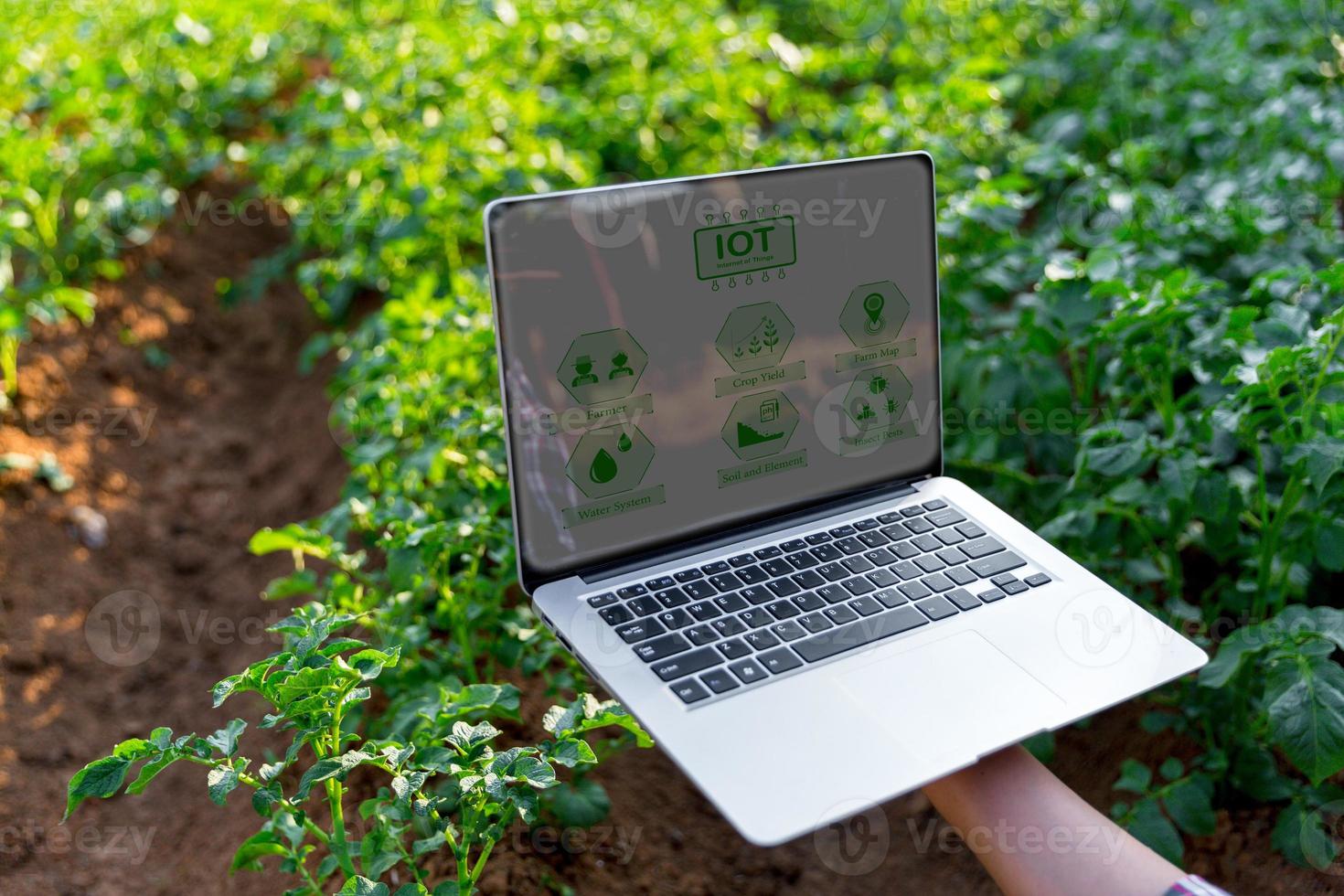 ein Frau Farmer mit Laptop Computer auf ein Kartoffel Feld. Clever Landwirtschaft und Präzision Landwirtschaft 4.0. modern landwirtschaftlich Technologie und Daten Verwaltung zu Industrie Bauernhof. foto