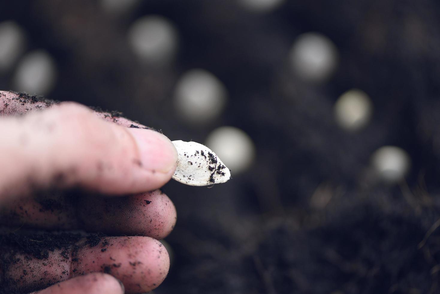 Hand Pflanzen Kürbis Samen auf Boden im das Gemüse Garten Landwirtschaft Gartenarbeit funktioniert Konzept - - schließen oben foto