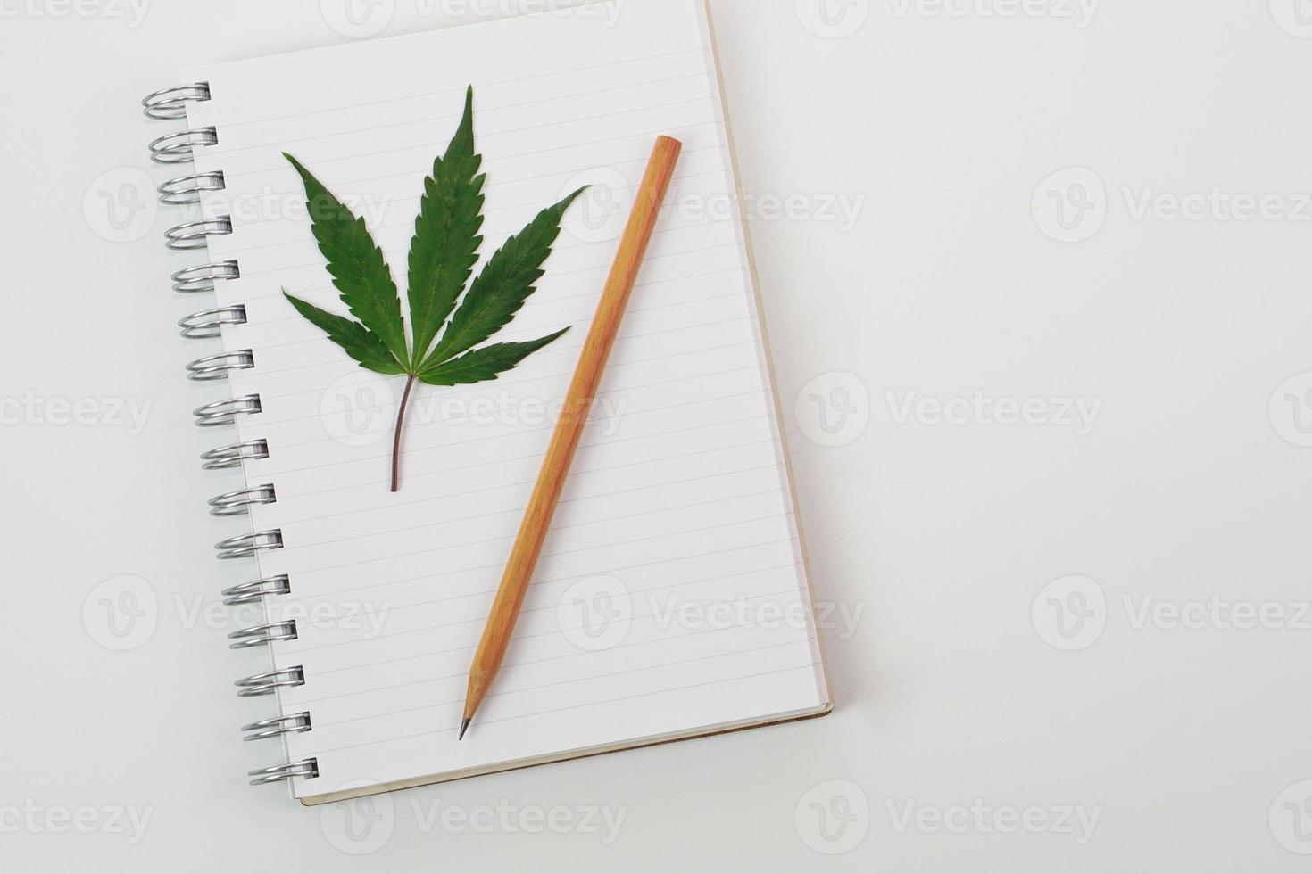 Draufsicht auf frisches Cannabisblatt oder Marihuanablatt auf Buch und Bleistift. Forschungs-, Kräuter- und Medizinkonzept. foto