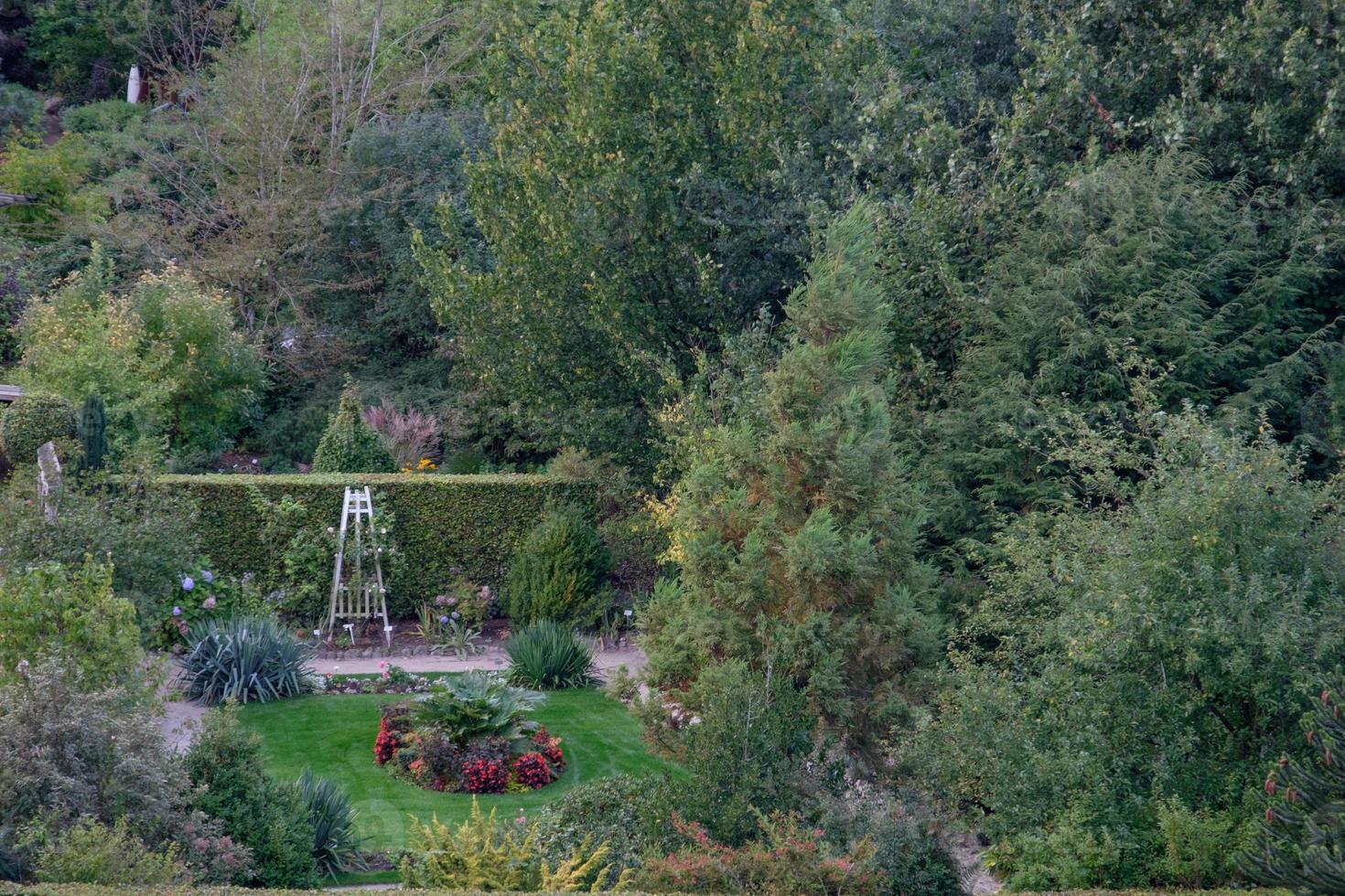 Sommerzeit im Garten foto