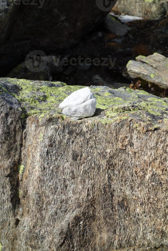 im das schweizerisch Berge foto