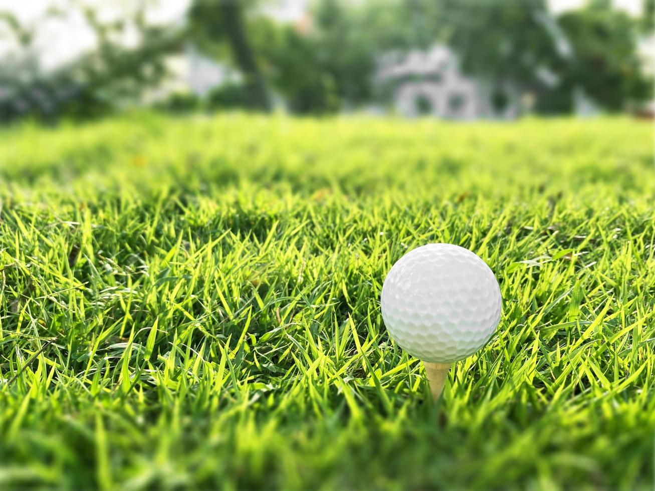 golfball nah oben auf grünem gras auf unscharfer schöner landschaft des golfplatzes mit sonnenaufgang, sonnenuntergangszeit auf hintergrund.konzept internationaler sport, der auf präzisionsfähigkeiten zur gesundheitsentspannung angewiesen ist. foto
