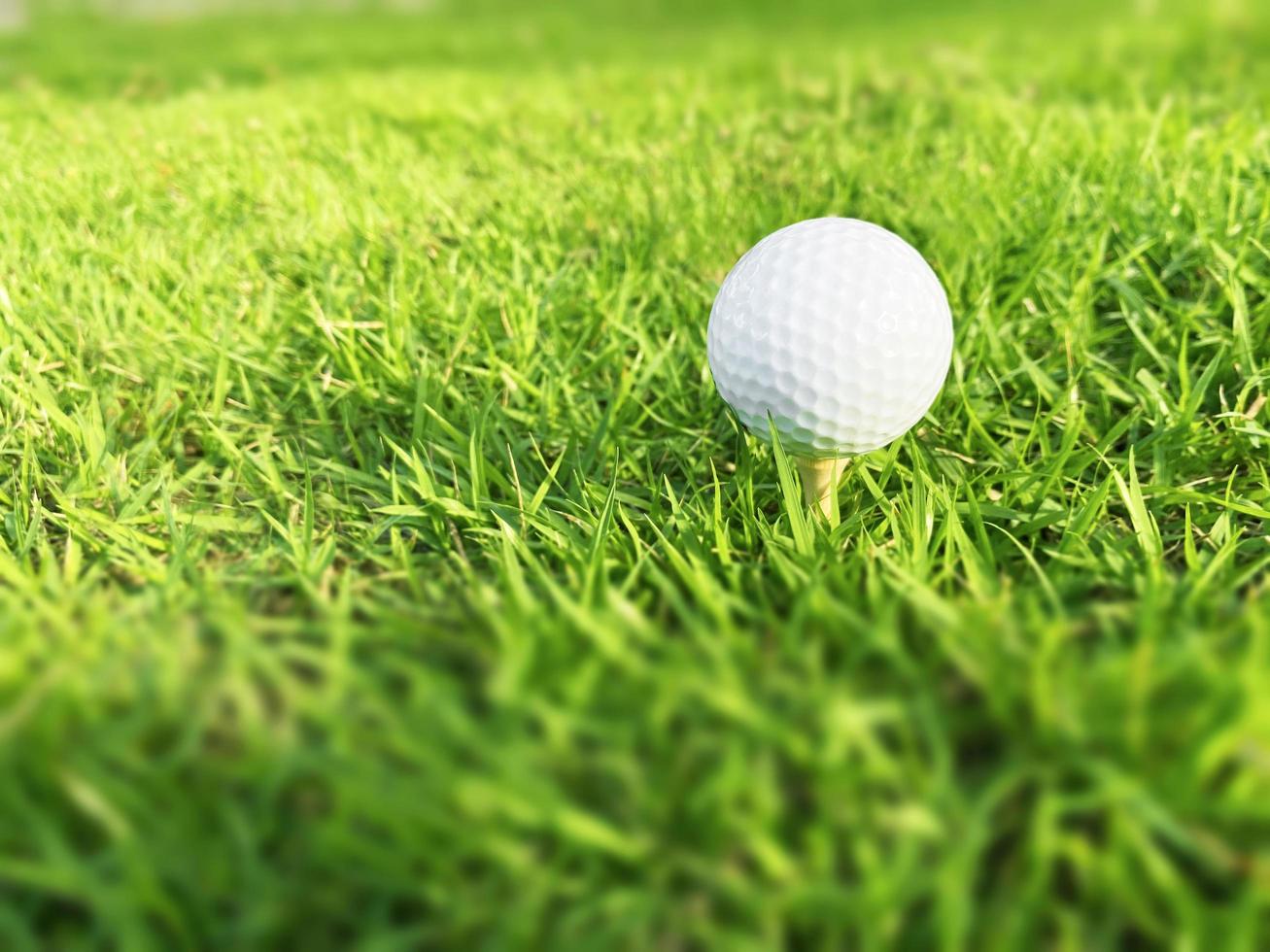 golfball nah oben auf grünem gras auf unscharfer schöner landschaft des golfplatzes mit sonnenaufgang, sonnenuntergangszeit auf hintergrund.konzept internationaler sport, der auf präzisionsfähigkeiten zur gesundheitsentspannung angewiesen ist. foto