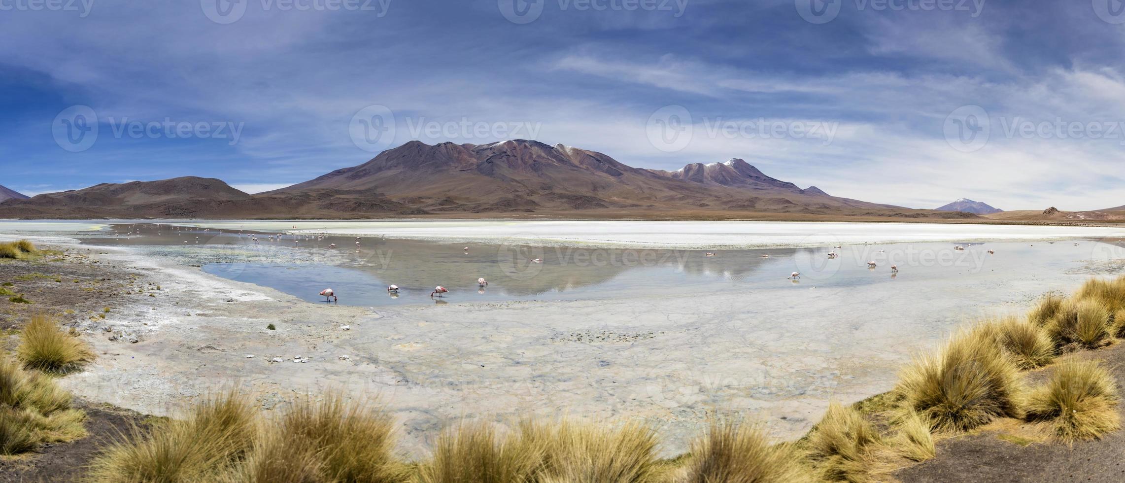 Laguna Hedionda in Bolivien foto