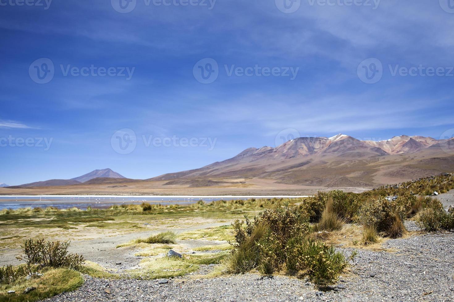 Laguna Colorado in Bolivien foto