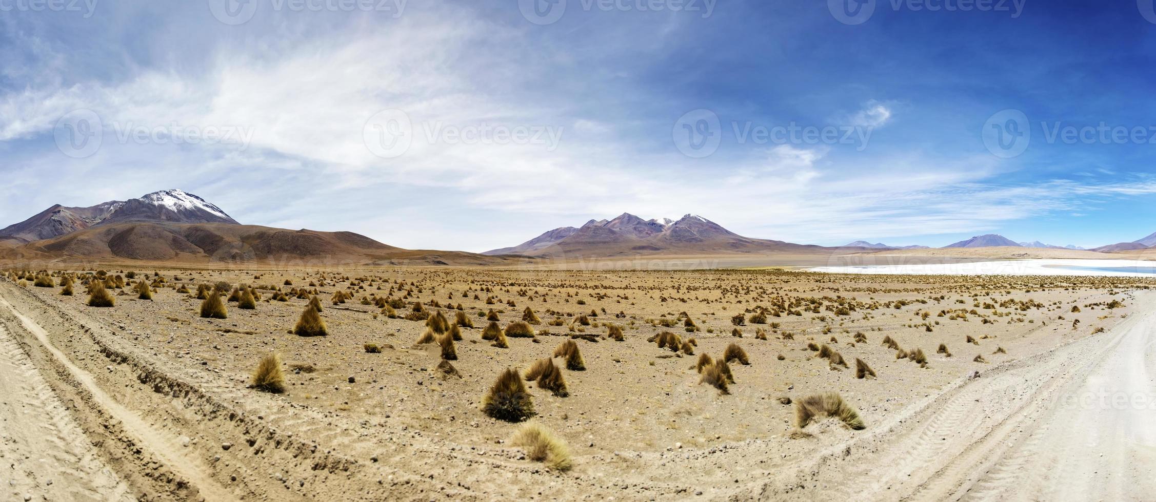 Dali Wüste in Bolivien foto