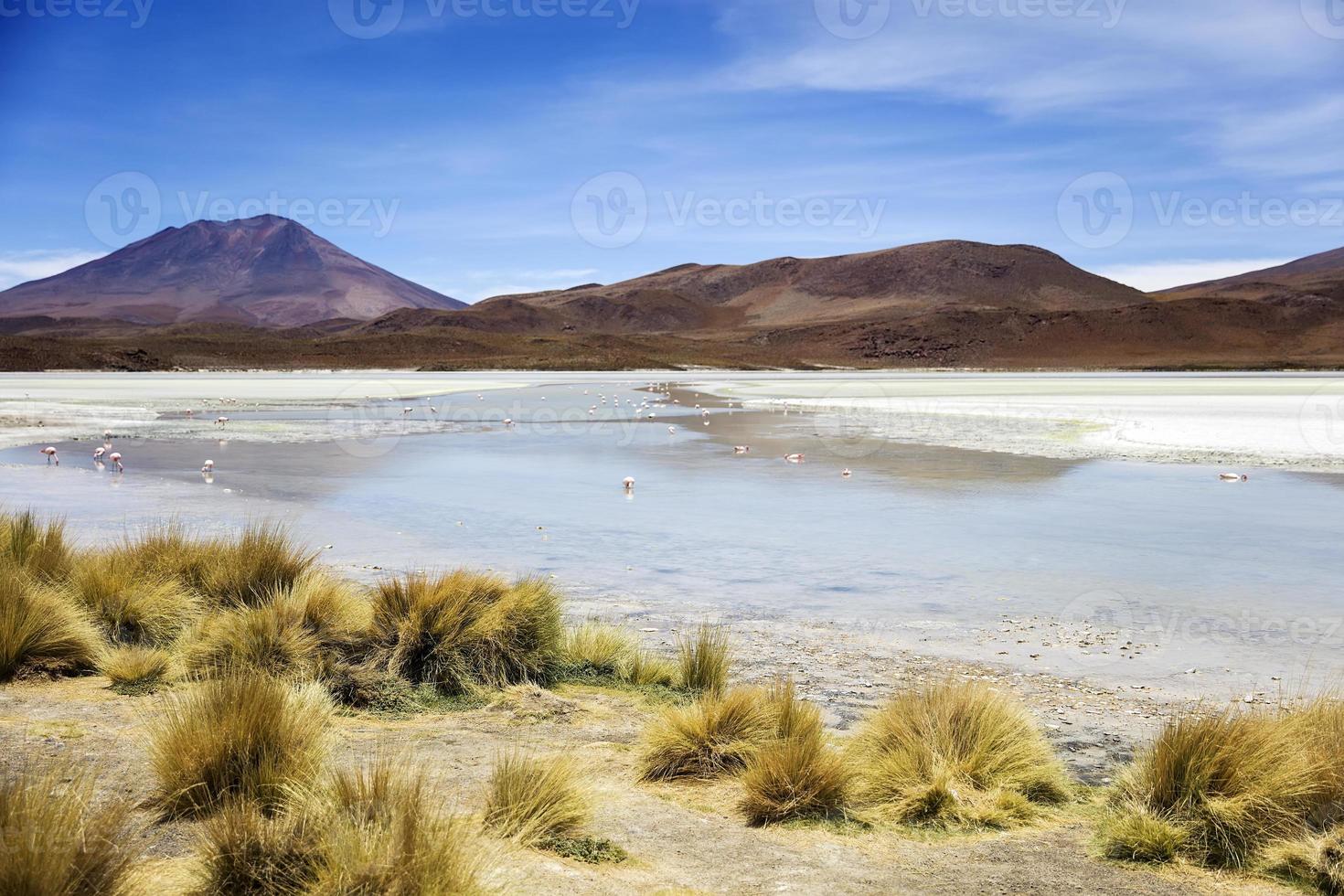 Laguna Hedionda in Bolivien foto