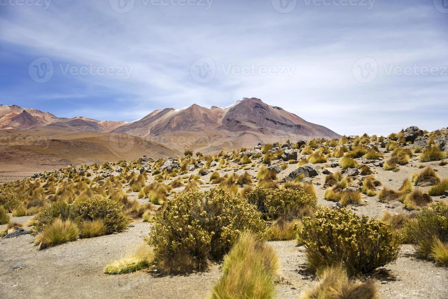 Laguna Colorado in Bolivien foto