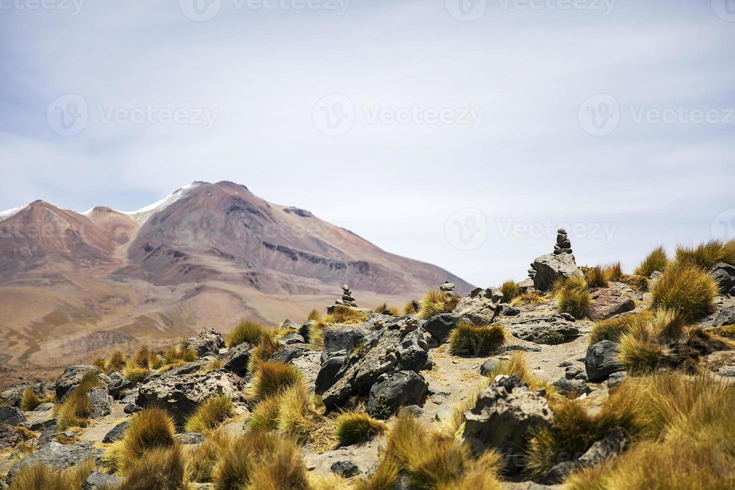 Laguna Colorado in Bolivien foto