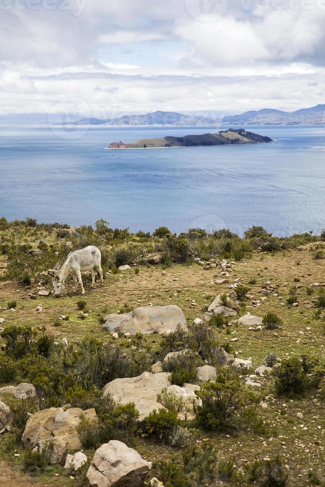 isla del sol am titicacasee in bolivien foto