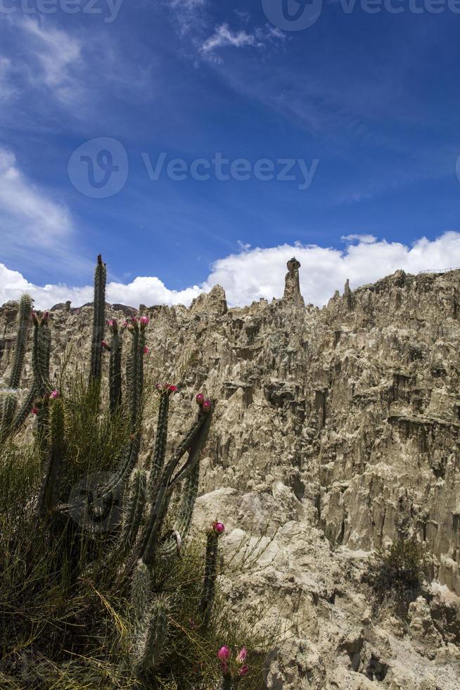 valle de la luna in bolivien foto