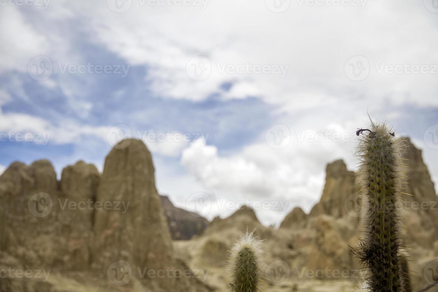 valle de la luna in bolivien foto