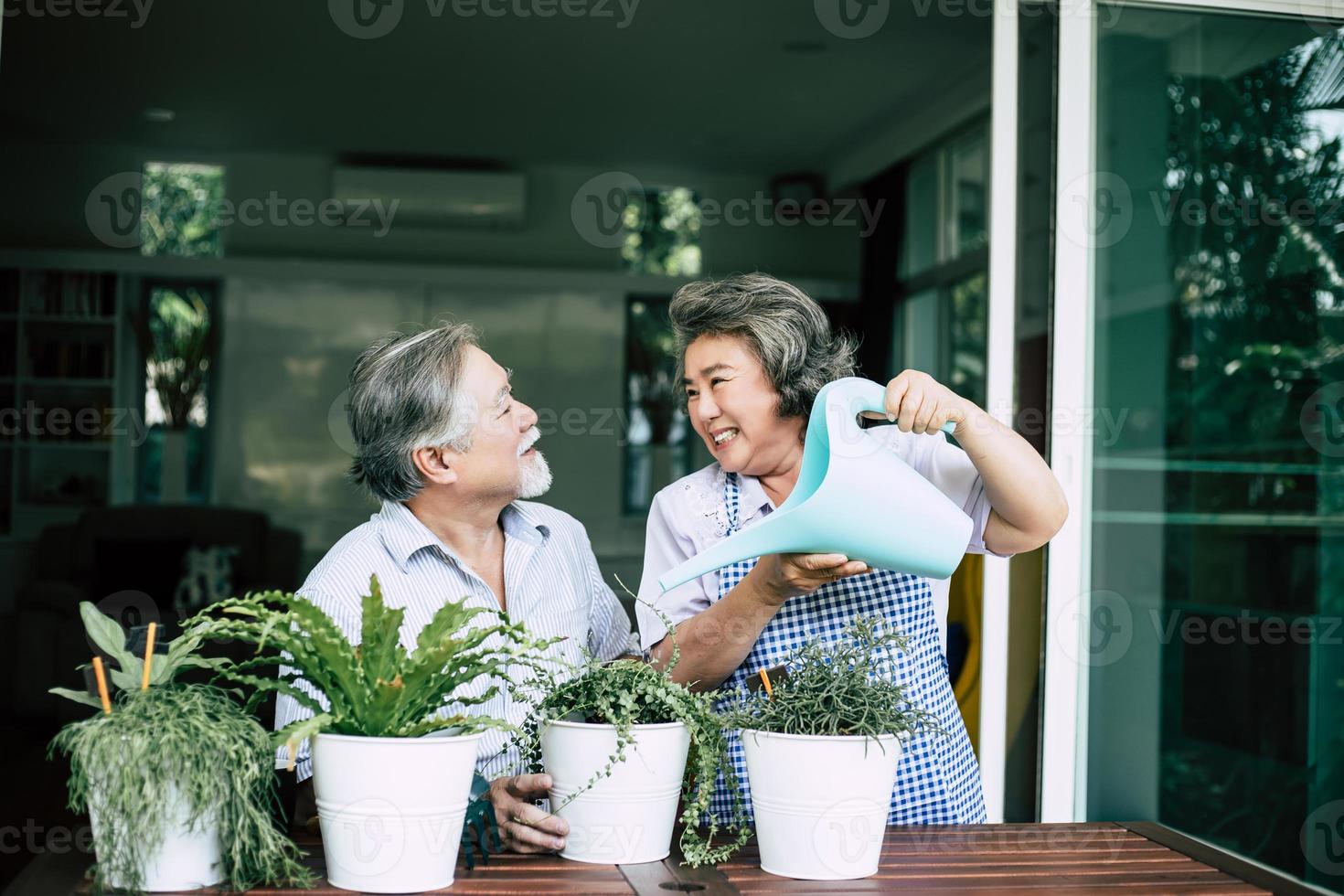 älteres Ehepaar, das zusammen spricht und Bäume in Töpfe pflanzt foto