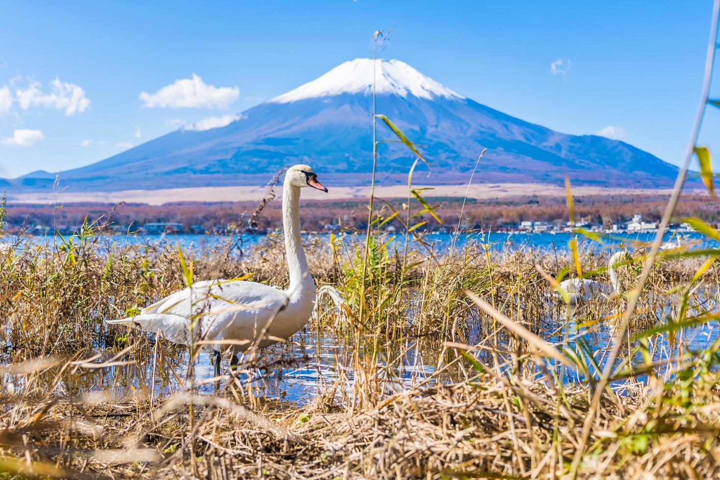 schöne Aussicht auf mt. Fuji vom See Yamanakako, Japan foto